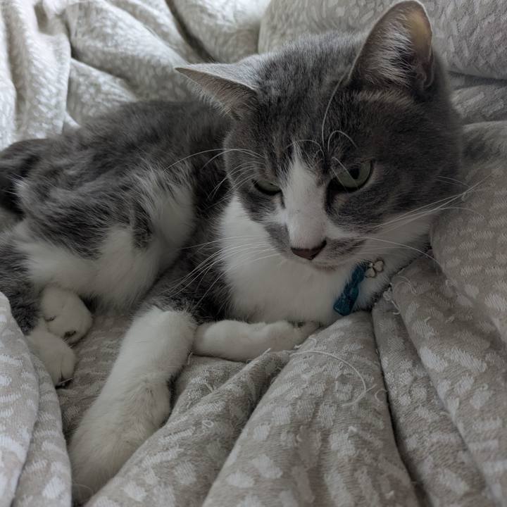 7111f540 6da9 42b7 9a03 44368b35bf1d 1764037998936