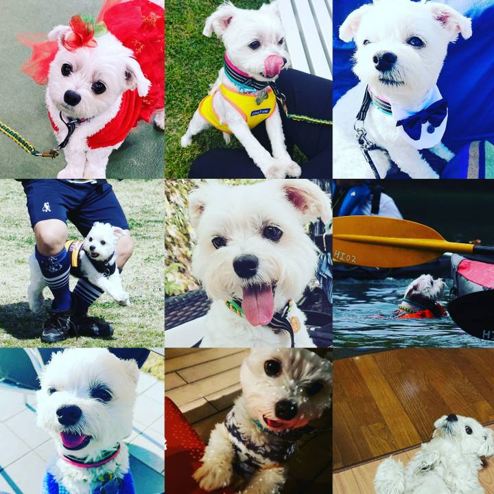 71126466 075d 4a46 b005 0780c94f6c0e 1577711956872