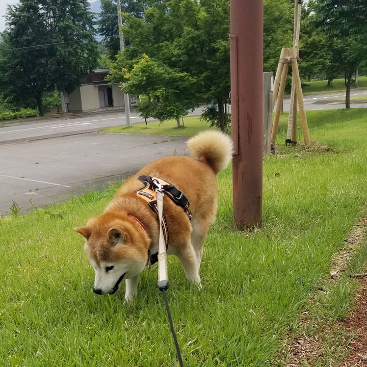 71126a90 108a 4927 b2c5 64800a519fce 1716096289161