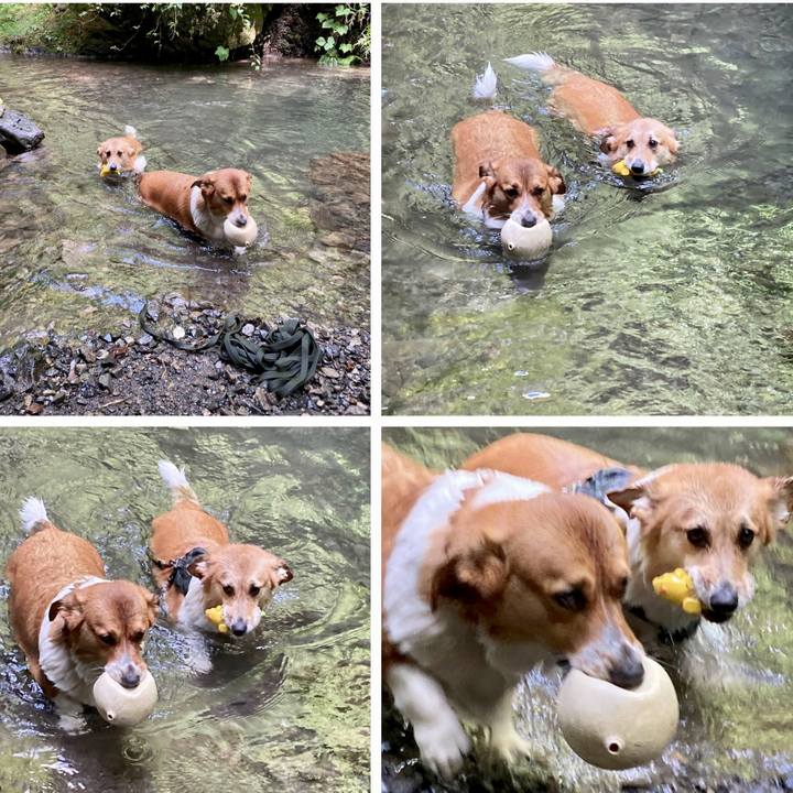 71128962 218a 4dad a785 1a1c87989f53 1691369571547