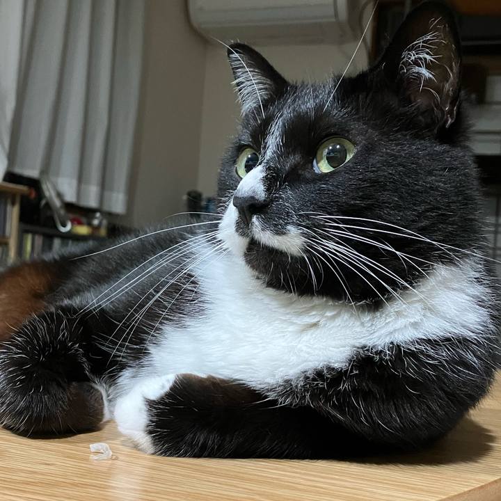 7112b27c 2385 44aa 825f f8c23c0d24f1 1688354985791