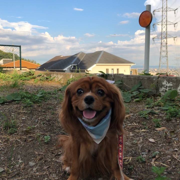 7112fae6 8c68 45e1 b07e 4ed420a880c6 1598706892214