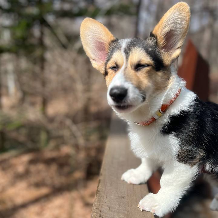 71131780 717f 4bd3 95e4 8049289c6105 1774141923626