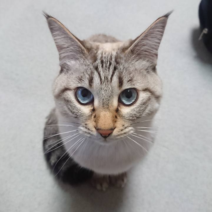 711318f7 724b 4e97 a1ae 963093c6e41e 1577464469854