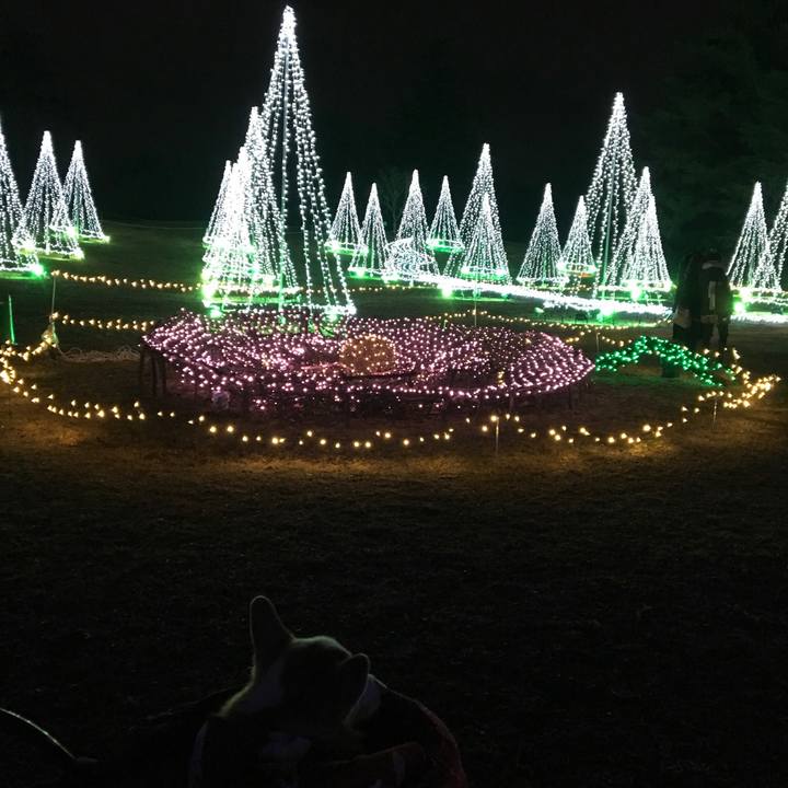 71131c35 c814 4f11 8e95 dff91a53d6f4 1545488578964