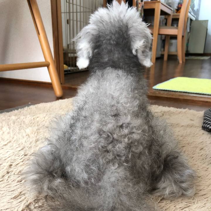 711335e7 241d 420d baee 67ee1987b8a5 1621772533608