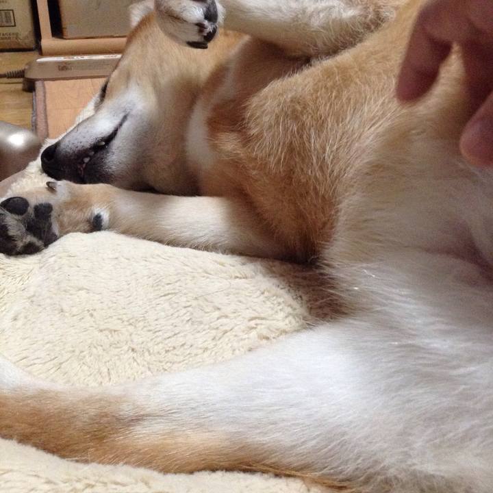 71133d0d e9aa 4248 ac59 a38cde85216c 1540942523280