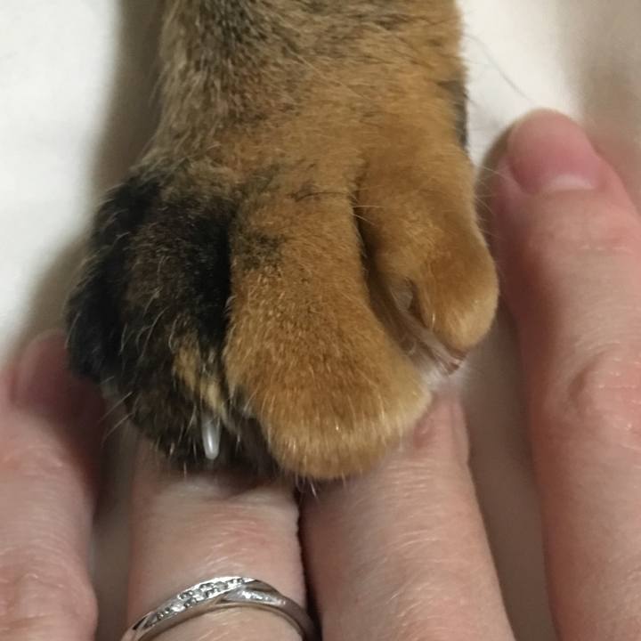 711343cc 99a6 49d4 ab84 93ab6b890213 1521290564981