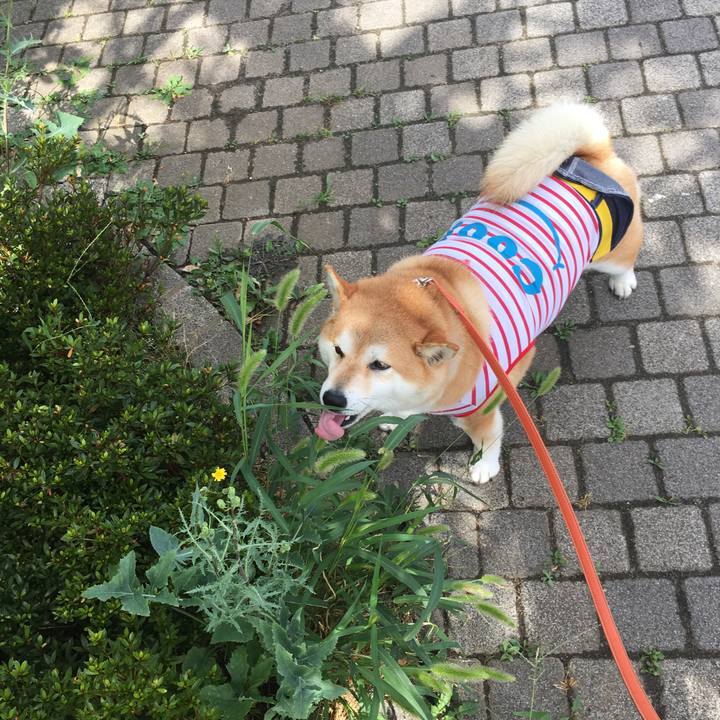 71134ecf f0d1 4fa4 bad8 0477a133f6b4 1565571069594