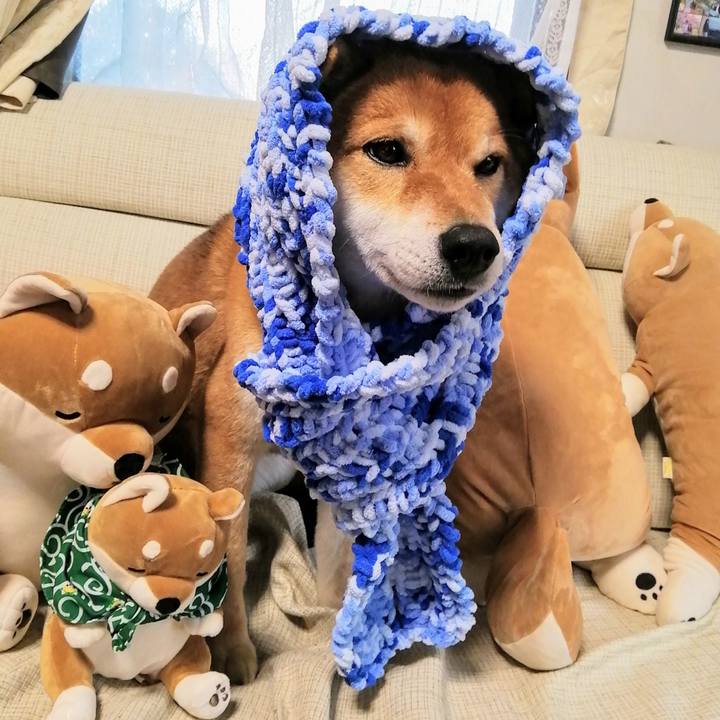 71135065 27e1 448d a09b eb1ef68d7baa 1583484271055