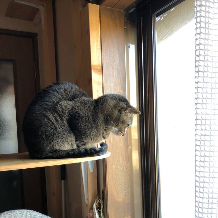 71136100 19c1 4820 9181 d1406cc90260 1584756170548