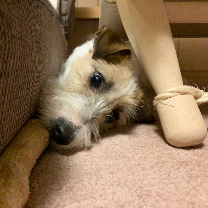 711376b4 4799 4b56 9d24 acc16dc66125 1579609283440