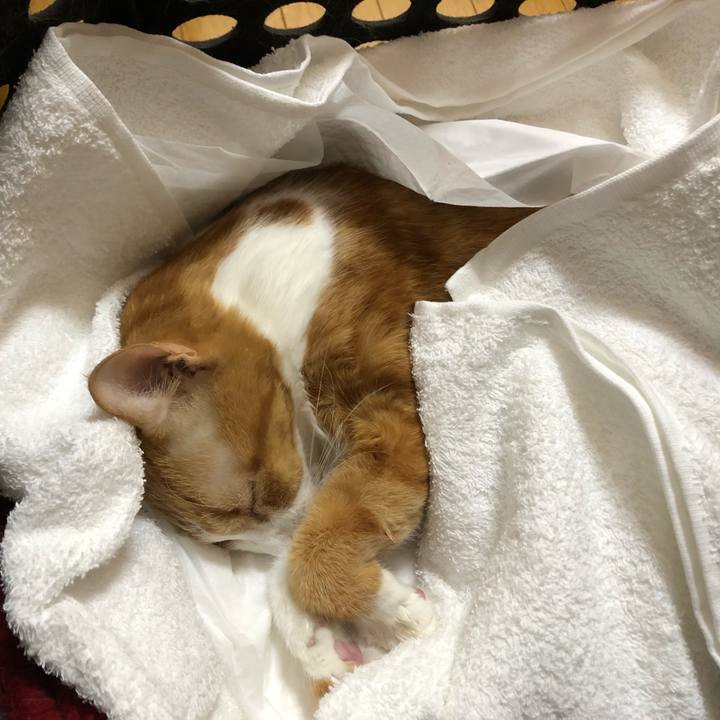 71138b09 c342 4bdf 8c09 8a4e9b592663 1554634619379