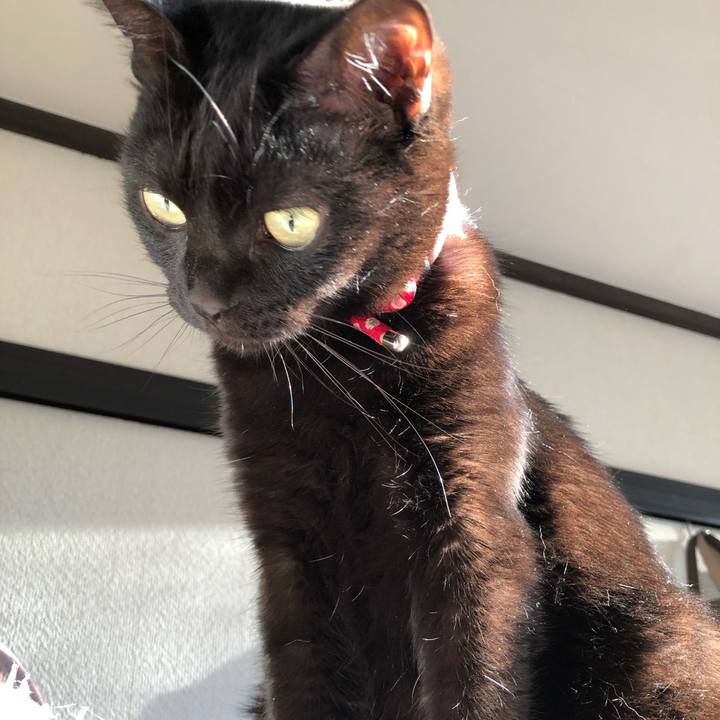 71138eca 10c8 4da9 8bfe 56216cdbfd34 1614724244437