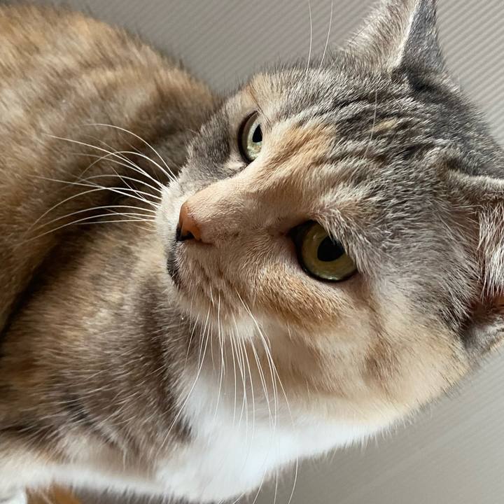 7113d6e1 ed4a 4771 8ed5 b8b97f1149e0 1644903966865