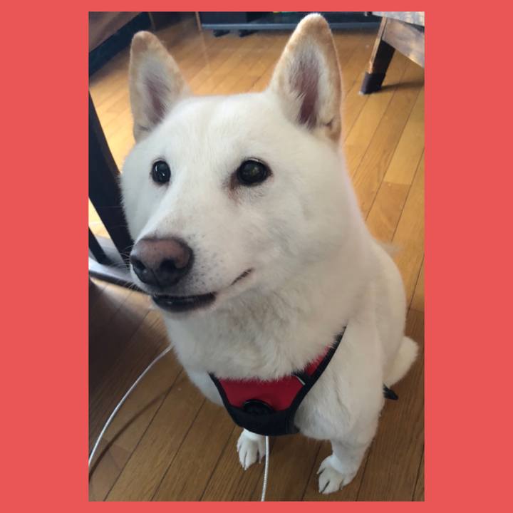 7113e785 b788 4808 9837 f4866ff973f8 1607227469002