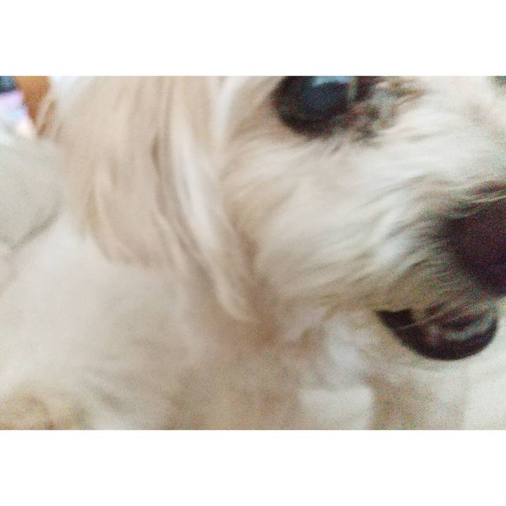 71143c90 c249 4189 994a c5b12faf0fc4 1654243466086