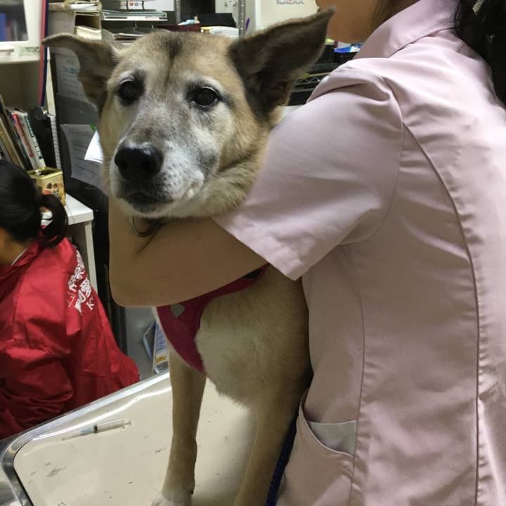 71149b5f 14bb 471b 9a95 245d95e6ee79 1579262454713