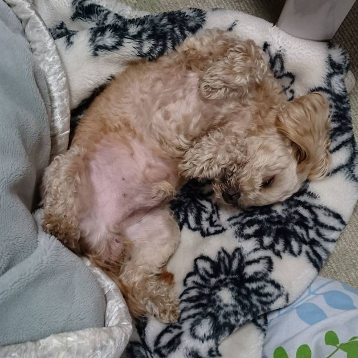 7114aaca a533 4efc 83ae 2d5ac2caa660 1557785114643