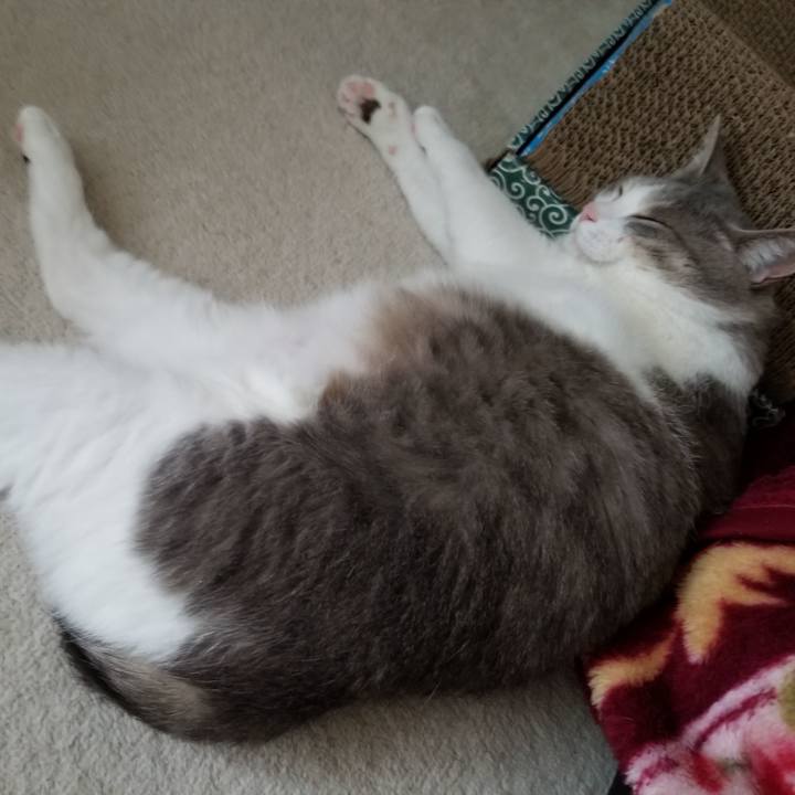 7114e16c 9a05 42fa bed4 1eec99f0aaa7 1674569066238