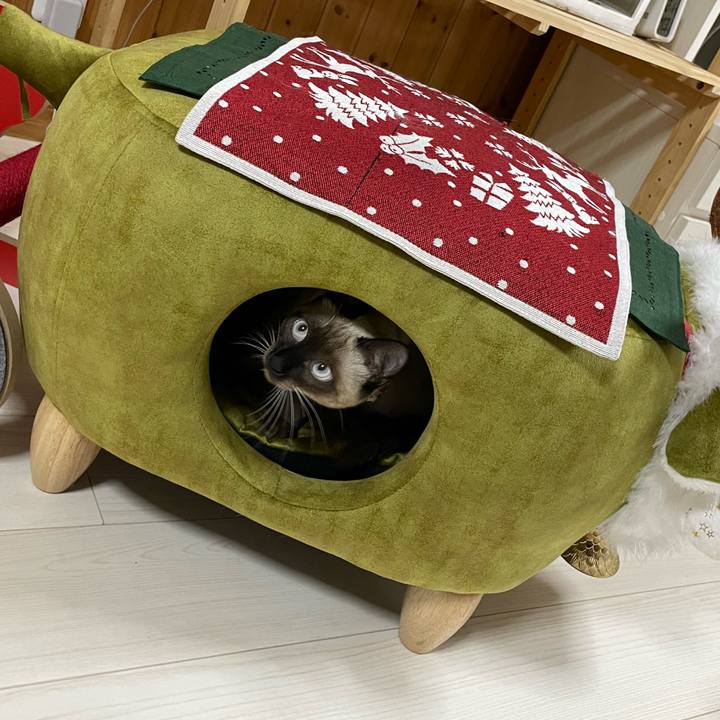 7114fb2b c6c9 4f4f b412 79facae01b58 1703531085568