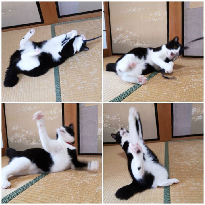 71150dc0 467d 4d6f 9888 608c75f1d4a7 1570450675517