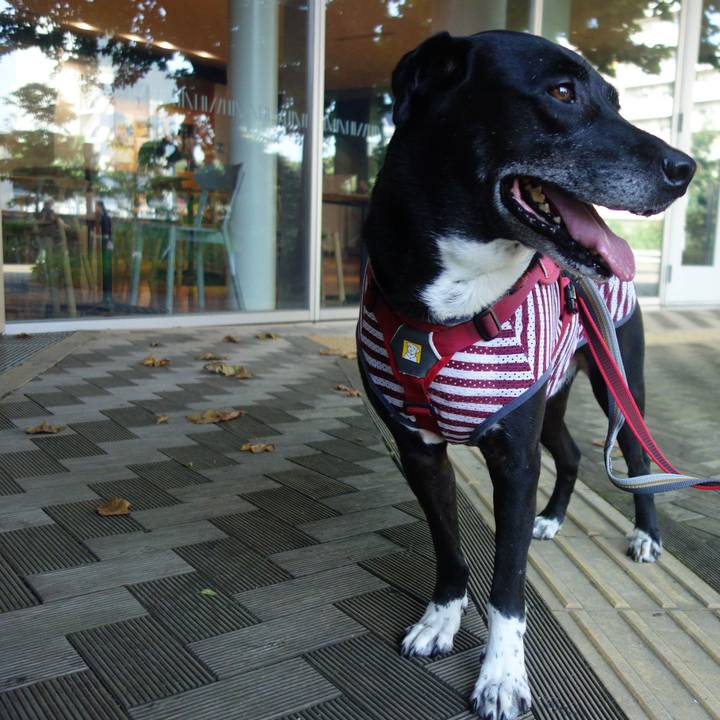 711523a7 ee90 4872 a21f fd2189af0909 1689120790875