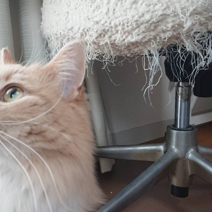 71155f82 cab9 4bab 8470 b4e09ce77712 1517453958625