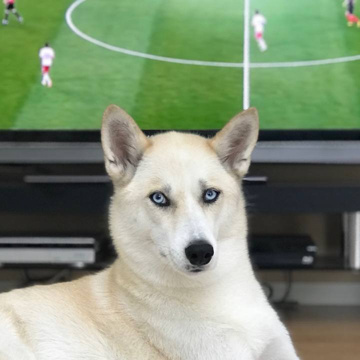 7115690e 788a 4b92 a425 cd3533d8438b 1530501026057