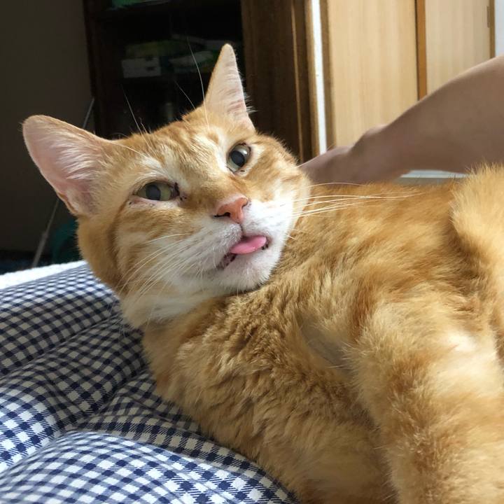 71157834 e7d9 495a 8473 9951169bf413 1598359844237