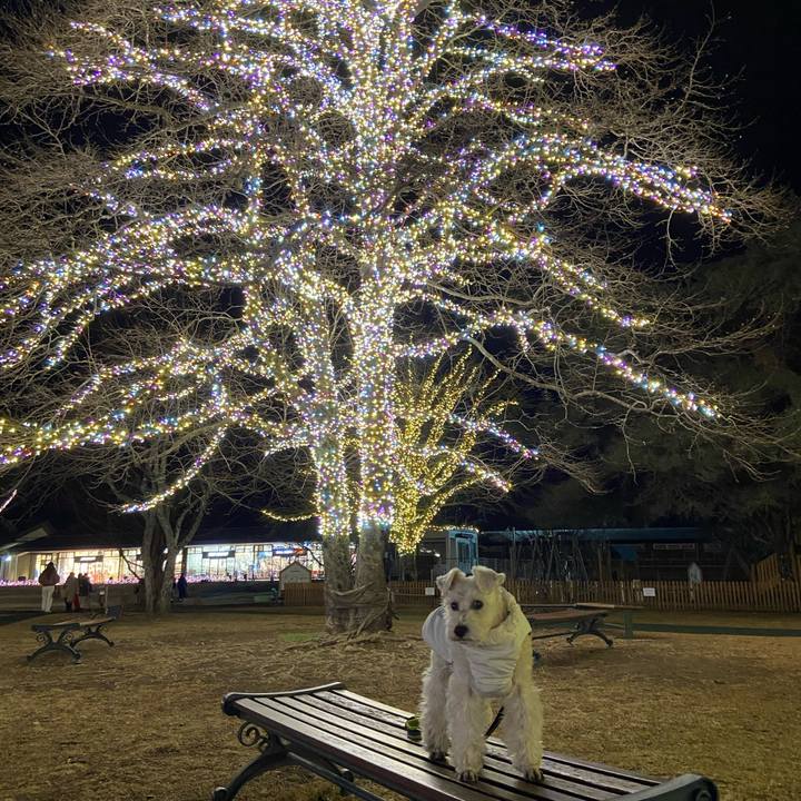 7115a16f f573 4f54 b21a 334654532a5f 1769838097707