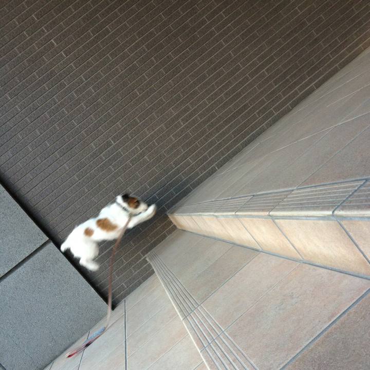 7115b62c 5799 40c1 b58e 83bc10e0d702 1516413648127