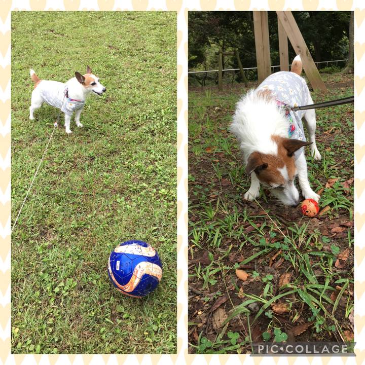 7115fa73 b60a 4738 8183 7da5b2fd3f3b 1632698591172