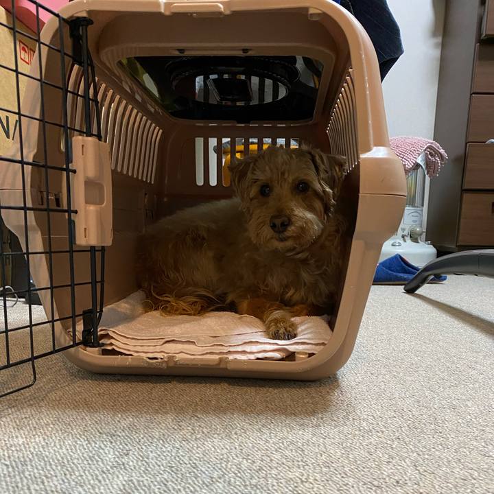 71162cd6 2ba8 424c a559 a0efac9d92ff 1617750402293