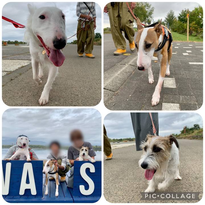 71163271 c0ea 42da 89fd d5cf395e48a0 1663414895108