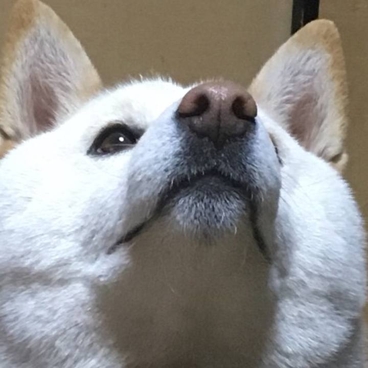 71163b5b 1573 4642 89bd d493d4c7e334 1522407311121