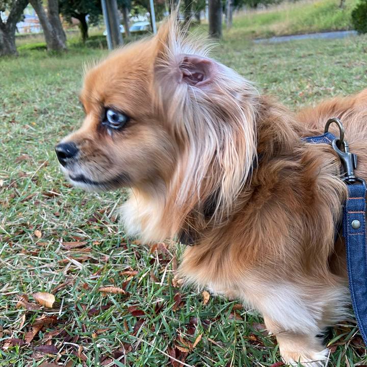 711651e1 aed3 4e27 aee7 4f5265b65acc 1573164016879