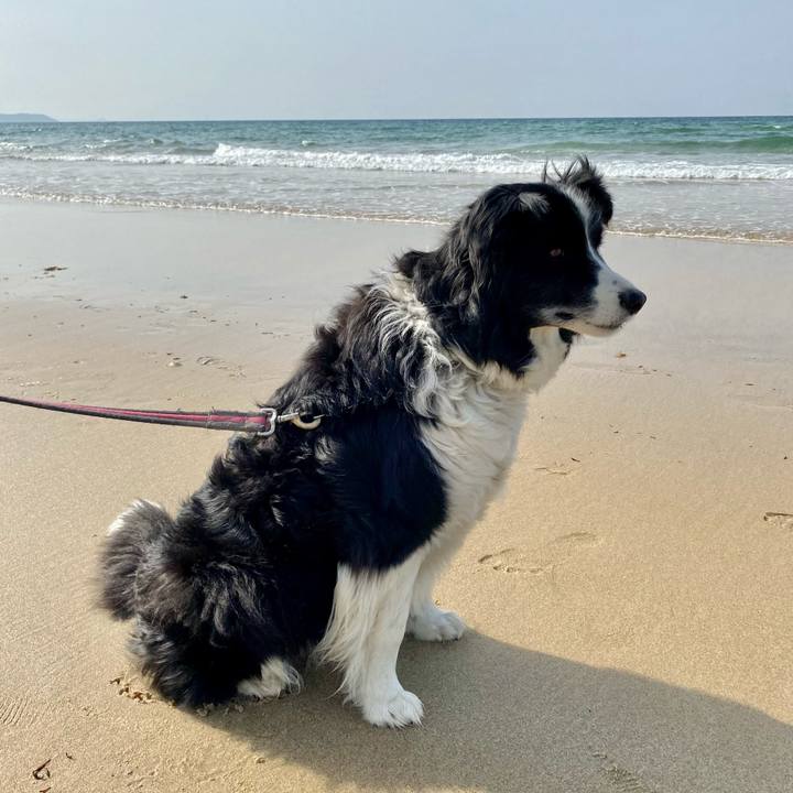 71165c73 1f06 468c 85b7 b28ebdbf4ae3 1620646109483