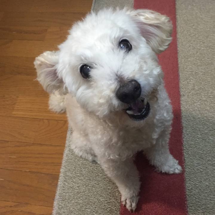 711731ac 7ec6 4f4a 8ea2 f809bb6ae0cb 1517357228694