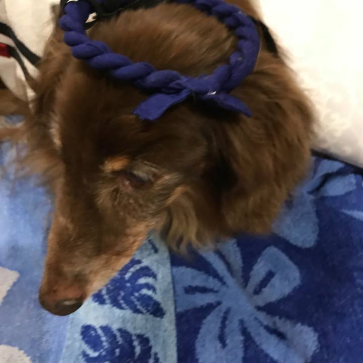 71175716 c974 4591 bc6f 7ec542abc12f 1531499048255