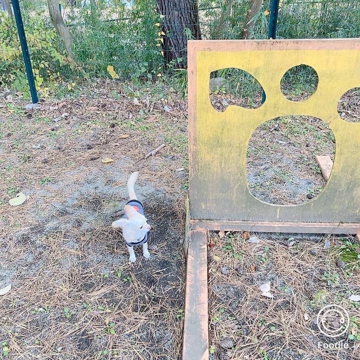 7117b83f 8fa5 4c6e 9217 41b375b3051f 1604382640188