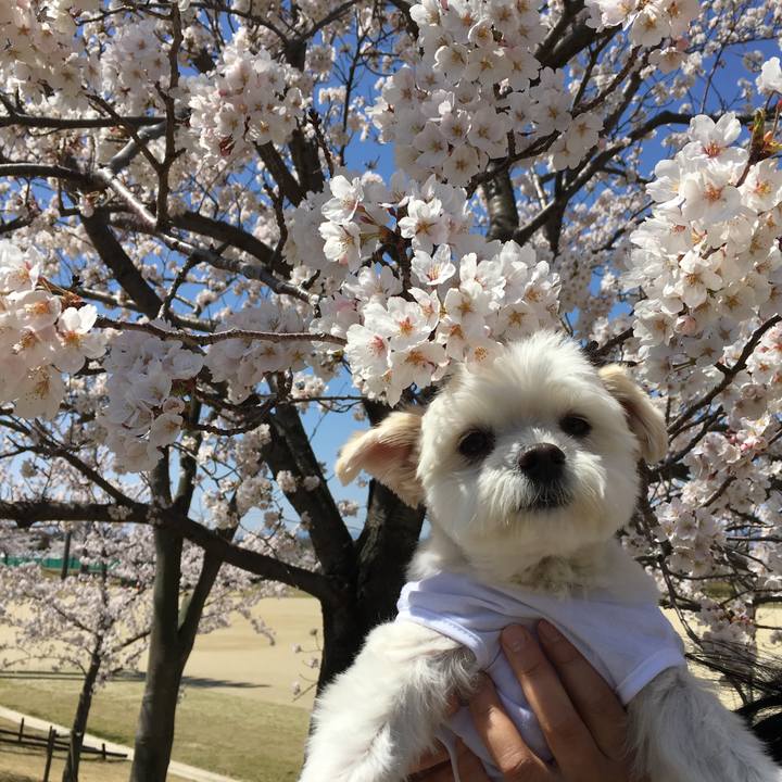 71181ec4 bb22 4028 9e0f 891e3ec48d7a 1540557881402