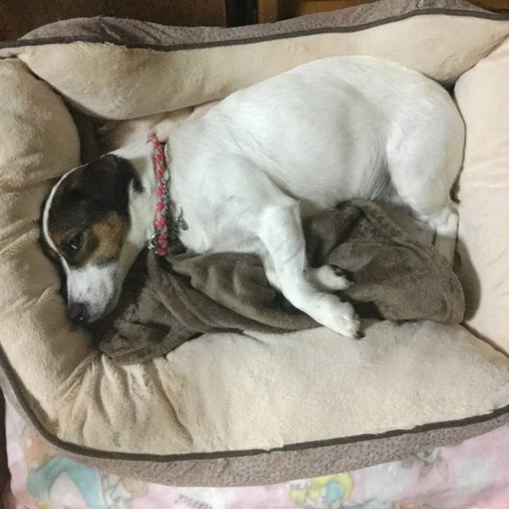 71181f38 e42f 46cb b331 8cd5fa885a01 1540212962058