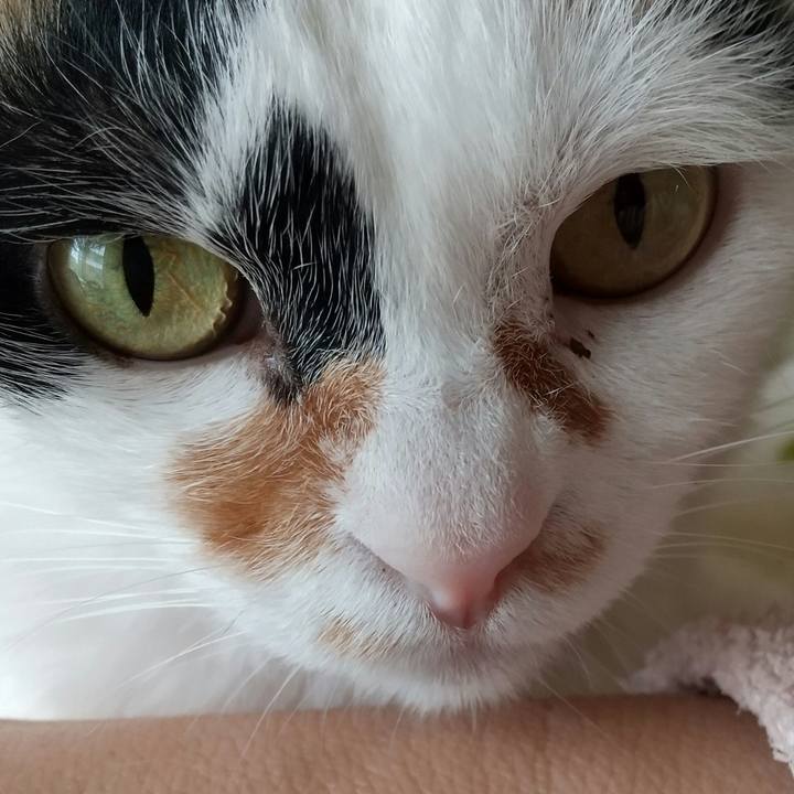 711872b7 7b79 4732 a25c 5b6e5df8a067 1581293835616