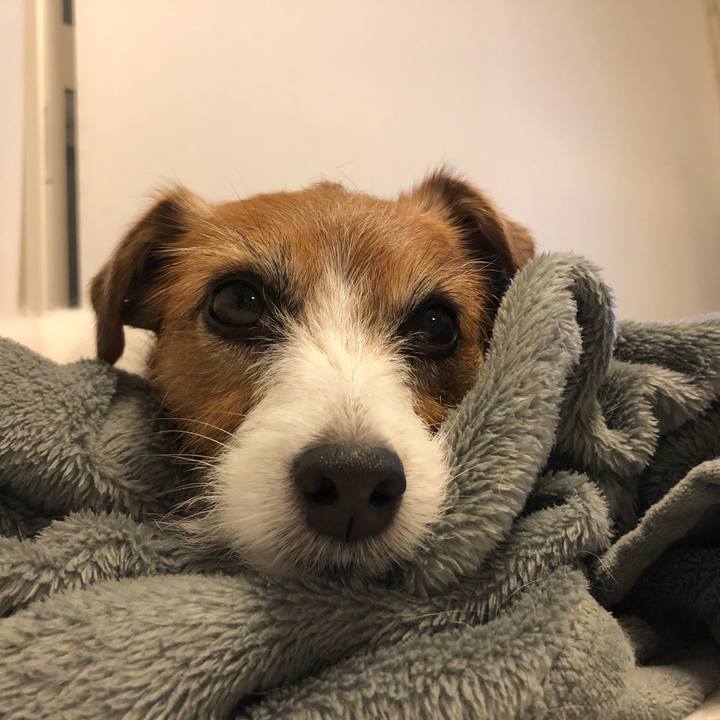 7118a356 2e1c 4ee1 8724 4adc7f2b8d6a 1617620115133