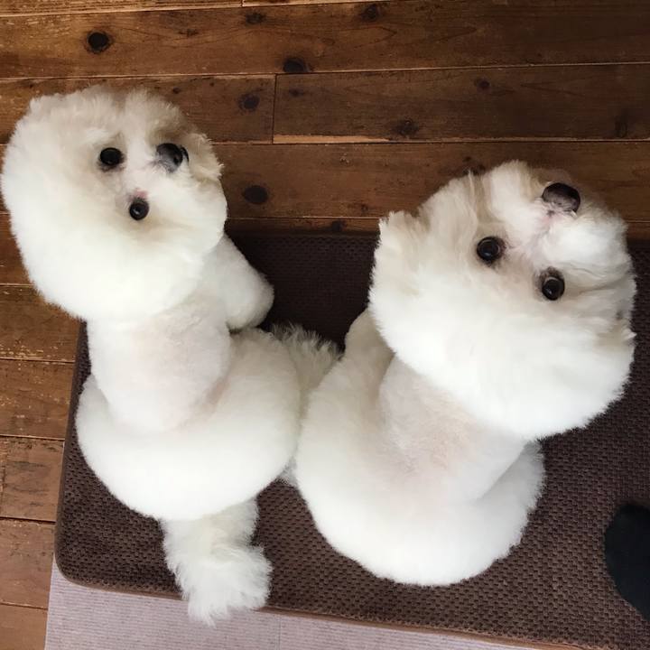 7119319a 4c4c 4b07 83cf 8f38460040cc 1560406146506