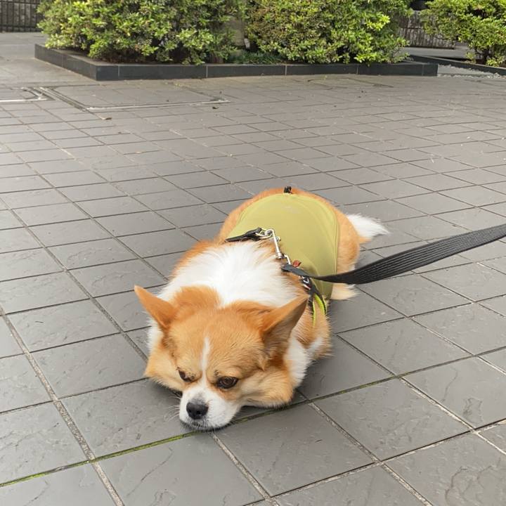 71193a5e bd1e 40bc 8ecd f92bf7d11dfa 1750055625648