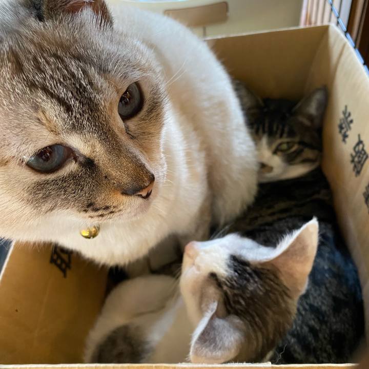 71194031 16e4 4a3a b25e 3faa5d60c8ea 1701834582666