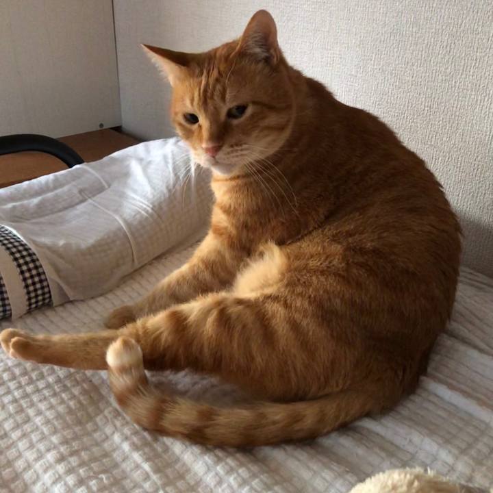 71194268 1107 4f1d 864a 903485584c8e 1584418213733