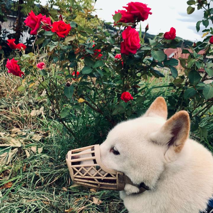 71194af0 a410 4d3c 85f2 dd842f8d4a16 1632087985561